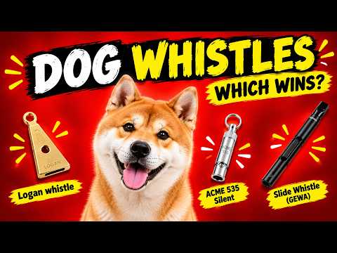 These Whistle Sounds Made Dogs Stop &amp; Listen 🐶👀