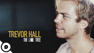 Trevor Hall - The Lime Tree | OurVinyl Sessions