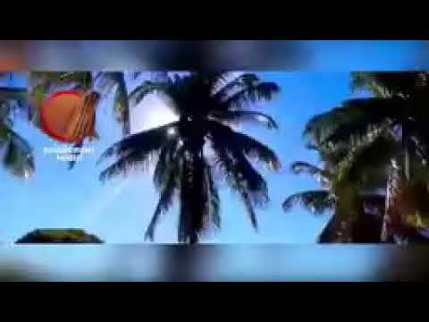 Zinia_overload x  sprung x taste  ( Dj Leeyo 2019 )