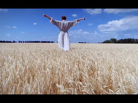 Navkolo Kola  - Україна (Official video)