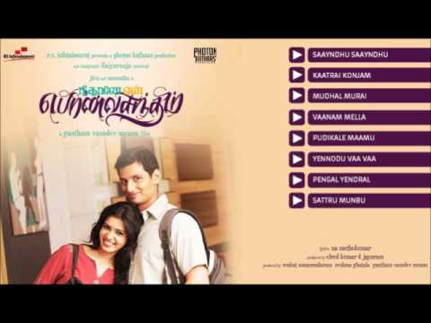 Neethaane En Ponvasantham Music Box