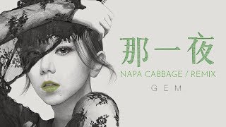 Napa Cabbage [EDM Remix] | G.E.M. 鄧紫棋 - 那一夜 Woke
