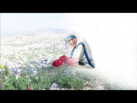 「野に咲く花」　こいずみゆり