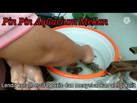 Selesai Cycling Masuk 10 Koral