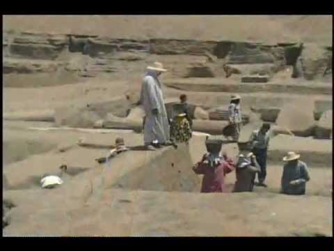 Unlocking the Mystery of Life - Design Inference Clip