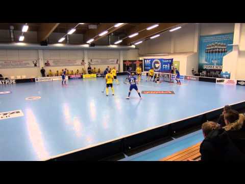 Erä A - Indians 15.1.2014 maalikooste