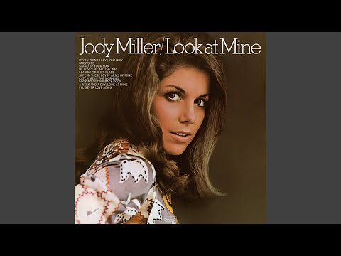 Looking Out My Back Door