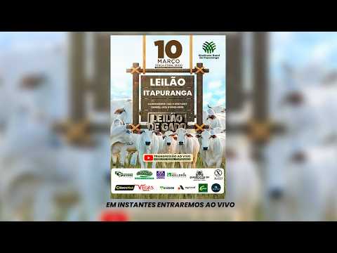 Leilão do Sindicato Rural de Itapuranga -10/03/2026 | Leilão ao Vivo - Leilão de Gado