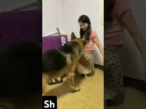 Australia video#subscribenow #trending #shorts