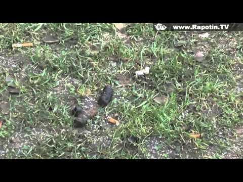 Rapotín: Odpadky a čistota v obci