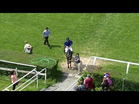 1. dostih - Cena vítězů Velké pardubické - dostihy Pardubice 25. 5. 2019