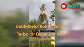 Download lagu Detik-Detik Petir Menyambar dan Membakar Pohon Kelapa mp3 Download lagu Detik-Detik Petir Menyambar dan Membakar Pohon Kelapa mp3