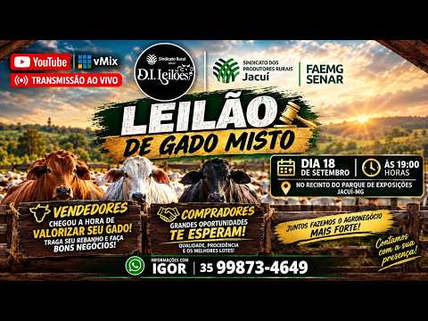 LEILÃO DE GADO SINDICATO DE JACUÍ. MG