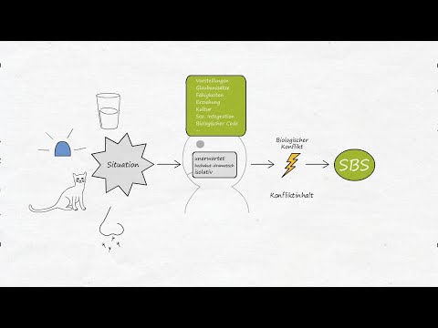 Krankheit ist anders - Allergie auflösen (Erfahrungsbericht 1, Allergien heilen, 5BN, GNM)
