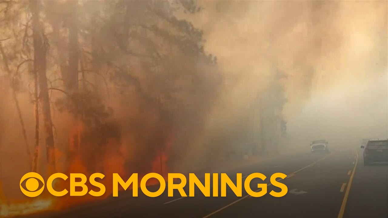 Man arrested in connection to wildfires near Spokane, Washington