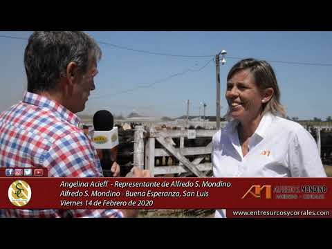 14-02-20 - Angelina Acieff - Representante - Alfredo S. Mondino - Buena Esperanza (S.L.)
