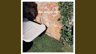 Nur wegen dir (Softrock Session)