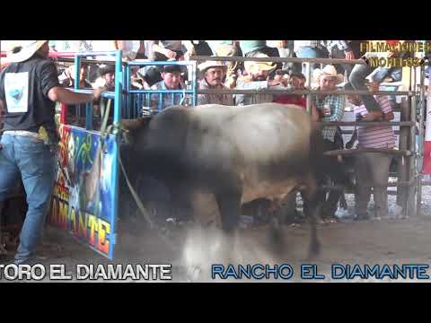 download lagu mp3 mp4 Mario Sanchez, download lagu Mario Sanchez gratis, unduh video klip Mario Sanchez