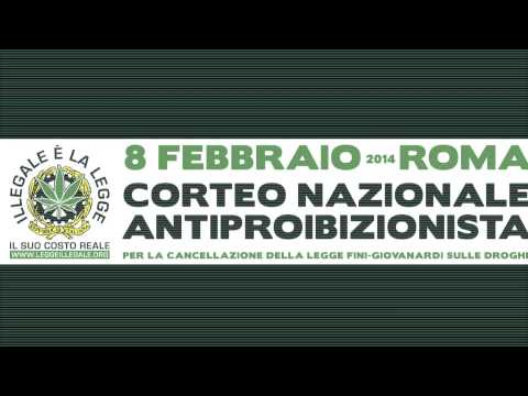 ShakaLab   No Fini Giovanardi