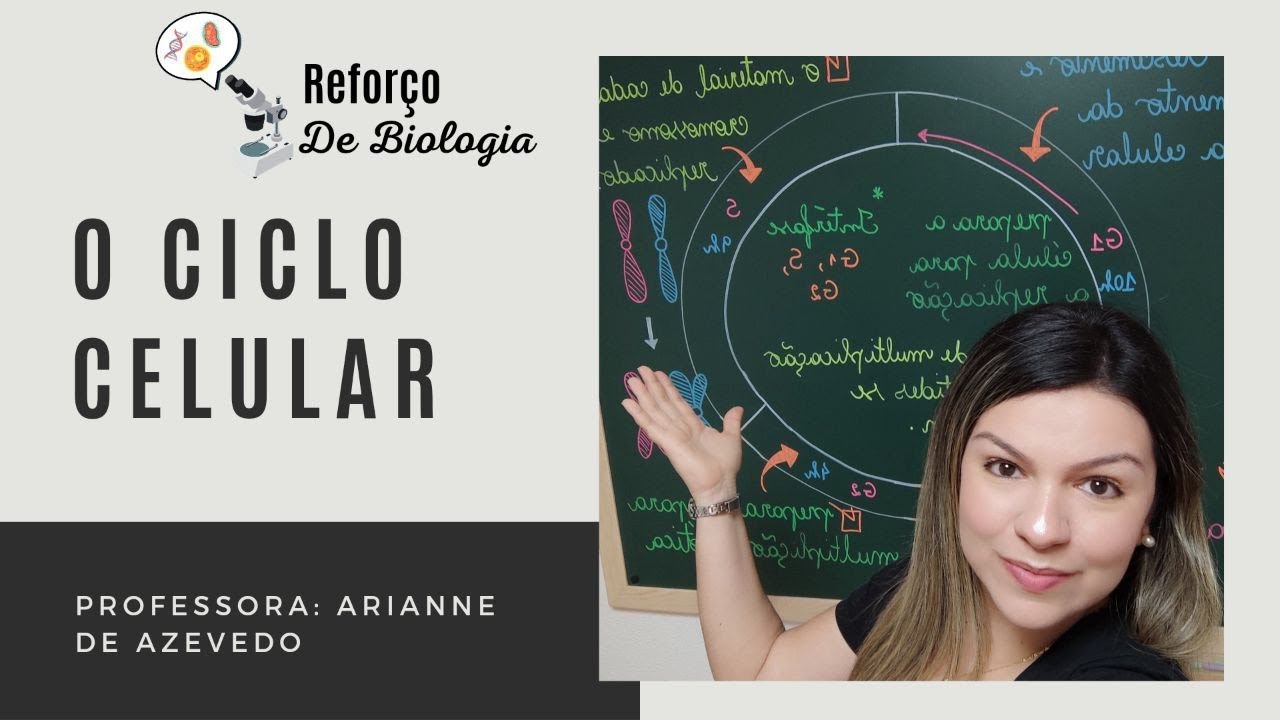 O Ciclo Celular e Suas Fases: Interfase (fases G1, S e G2) e Mitose