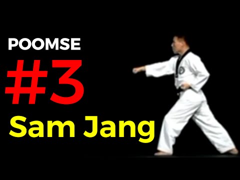 Poomse n°3 : Taegeuk Sam Jang