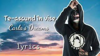 Te-ascund în vise||Carla&#39;s Dreams lyrics