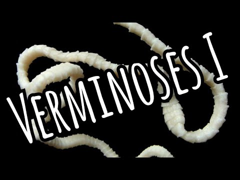 Verminoses I