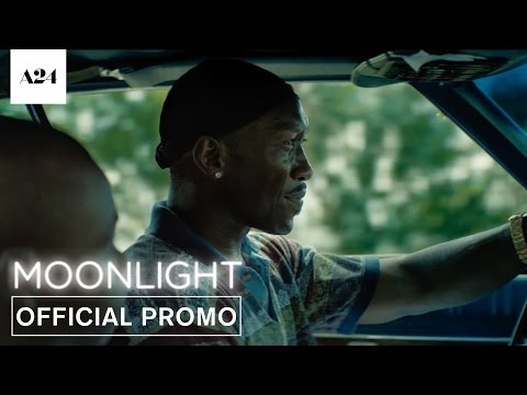 Moonlight (TV Spot 'Timeless')