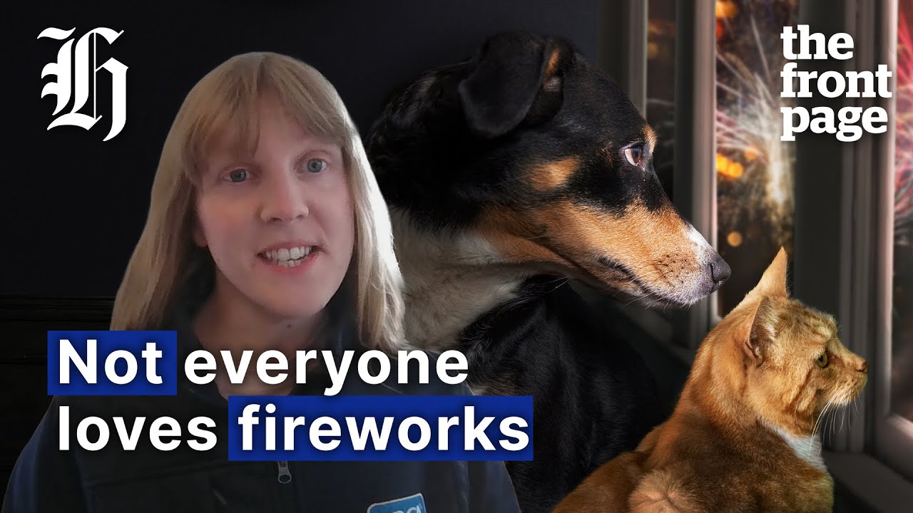 Why the debate over fireworks gets louder every year  | The Front Page