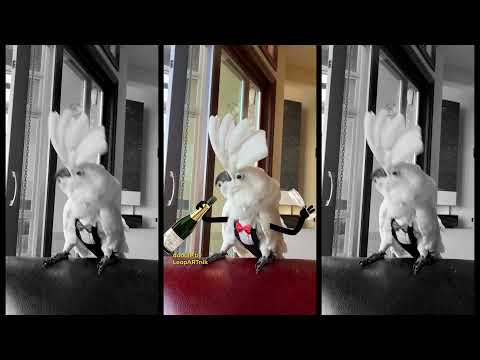 🥂 To Another Year! 🥂