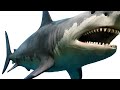 Megalodon vs Great White  Clash of Titans