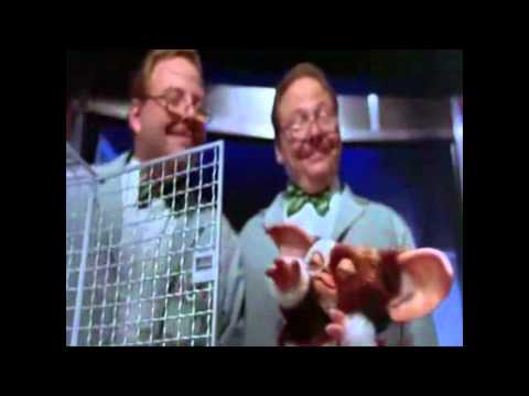 Gizmo Dance! LIKE A BOSS