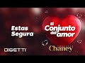 Conjunto Chaney - Estas Segura | Salsa Romantica con Letra
