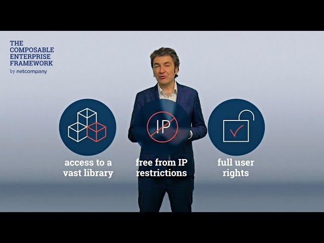 Netcompany product / service