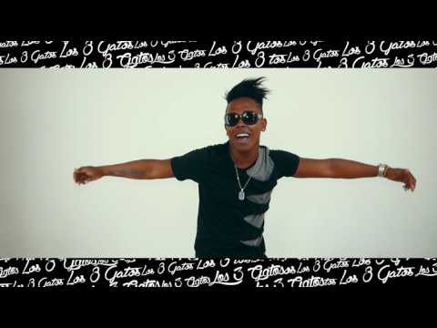 01%Los 3 Gatos%HOY NO%%michelitoboutic%