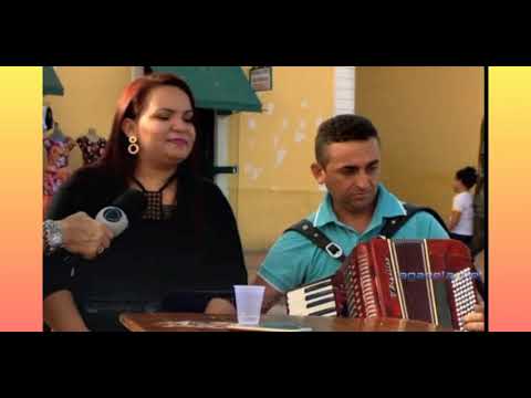 FORRÓ PEGADA 🎤🎹 música:só fingi🎹🎤(cover)