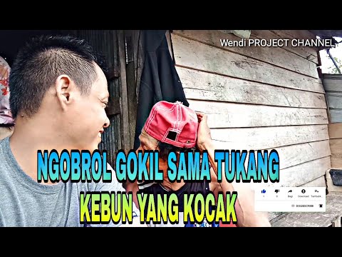 Tukang kebun yang sukses|| bapak masud Yusuf petani sayuran yang sukses