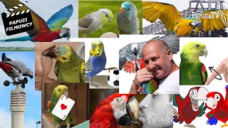 Parrot Video of The Year 2023 Final – Portraying the Finalists