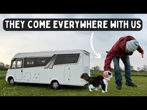 How we travel full-time in a motorhome with senior rescue cats