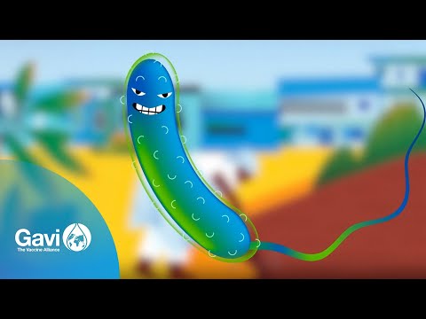 Why Should You Get the Cholera Vaccine?