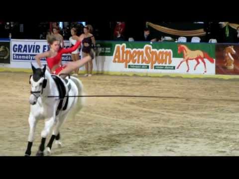 OTP Bank Lovas Világkupa 2011 #1