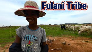 Abuja herdsmen Neighborhood is not what you think it is in Nigeria | Africa