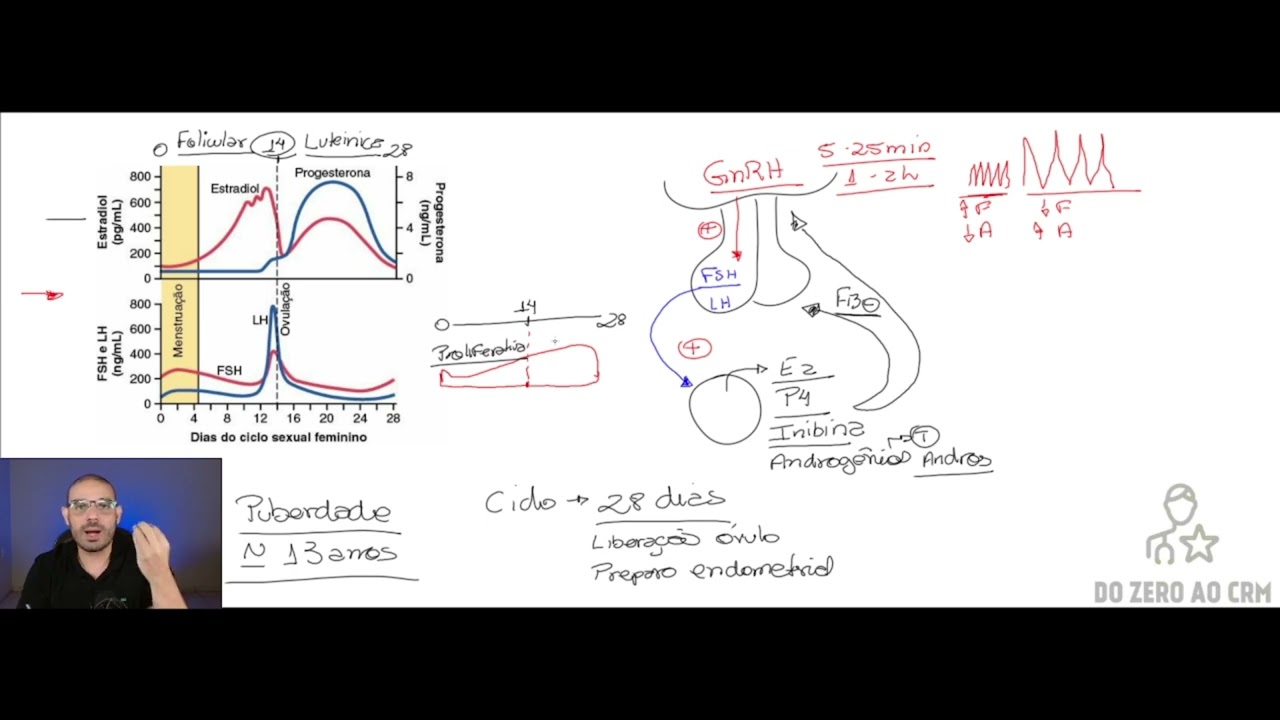 CICLO OVÁRIANO - CAPÍTULO 82 - GUYTON