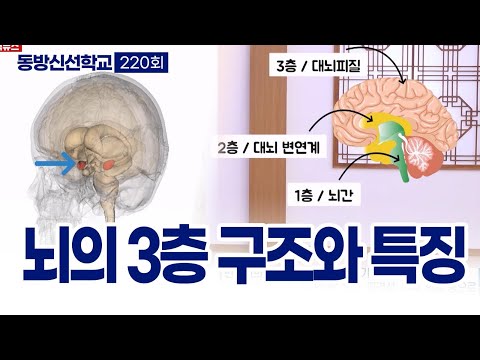 기초(숨) 수행과정
