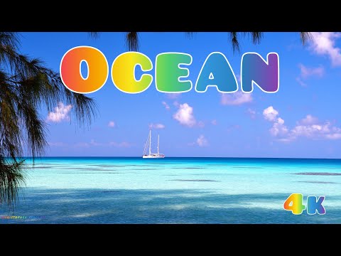 Ocean. 4k. Divine music. Music by Sergey Chekalin. Lounge. Instrumental music.