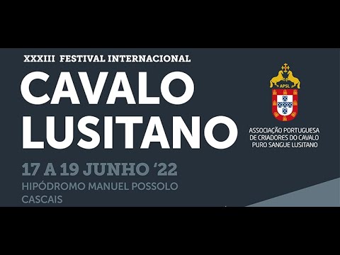 220619 Modelos e Andamentos Resumo dos premiados de Domingo - XXXIII FICL