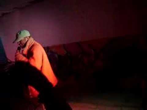 KIDDO CEE - WHIPLASH 2 JUNI 2006 1