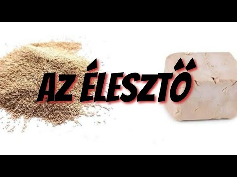 Az élesztő tulajdonságai és átváltása - Gábor a Házi Pék
