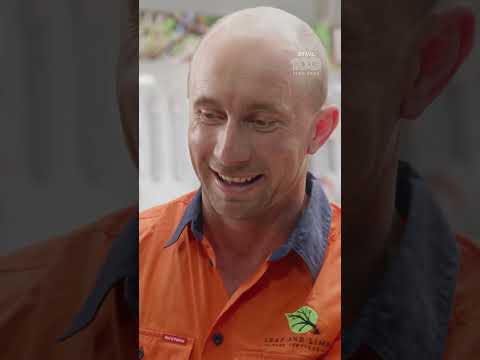 Why Shop at a STIHL Dealer? | STIHL Australia