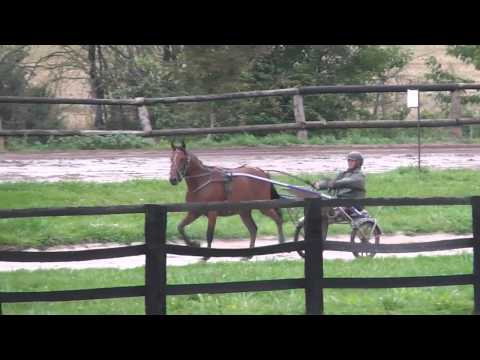 SOEUR ATHENA DE VANDEL